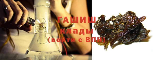 шишки Бородино