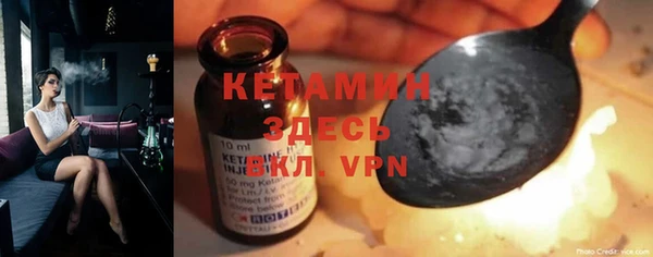 шишки Бородино