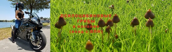 экстази Няндома