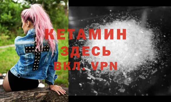 шишки Бородино