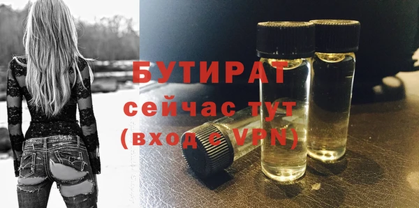 шишки Бородино