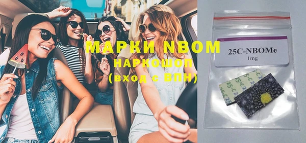 шишки Бородино