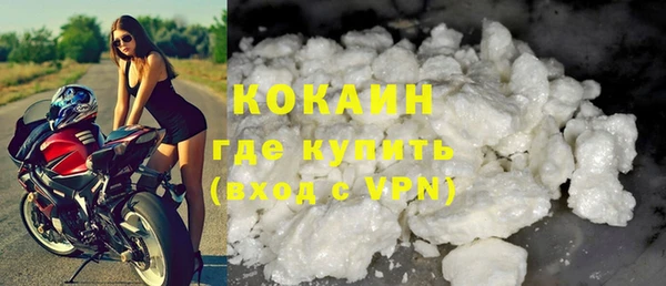 шишки Бородино