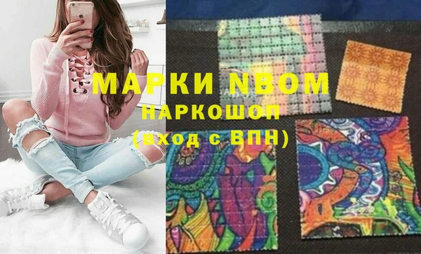 шишки Бородино